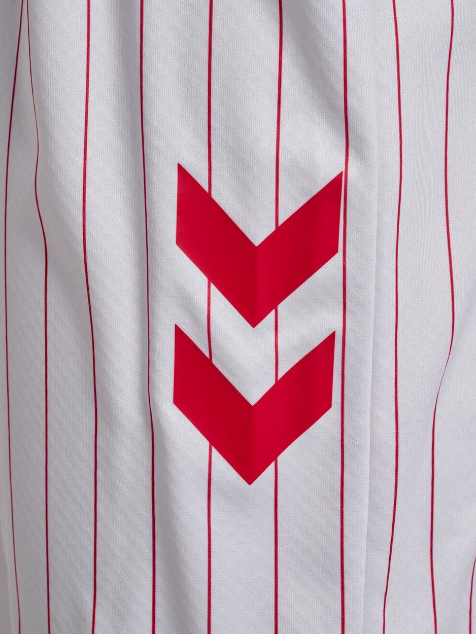 Danmark DBU 26/27 Voksen M&aring;lmandstr&oslash;je