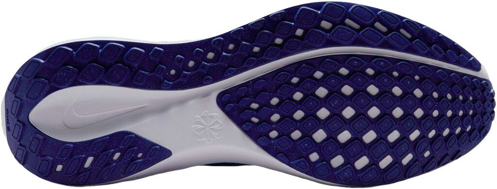 Pegasus 41 L&oslash;besko