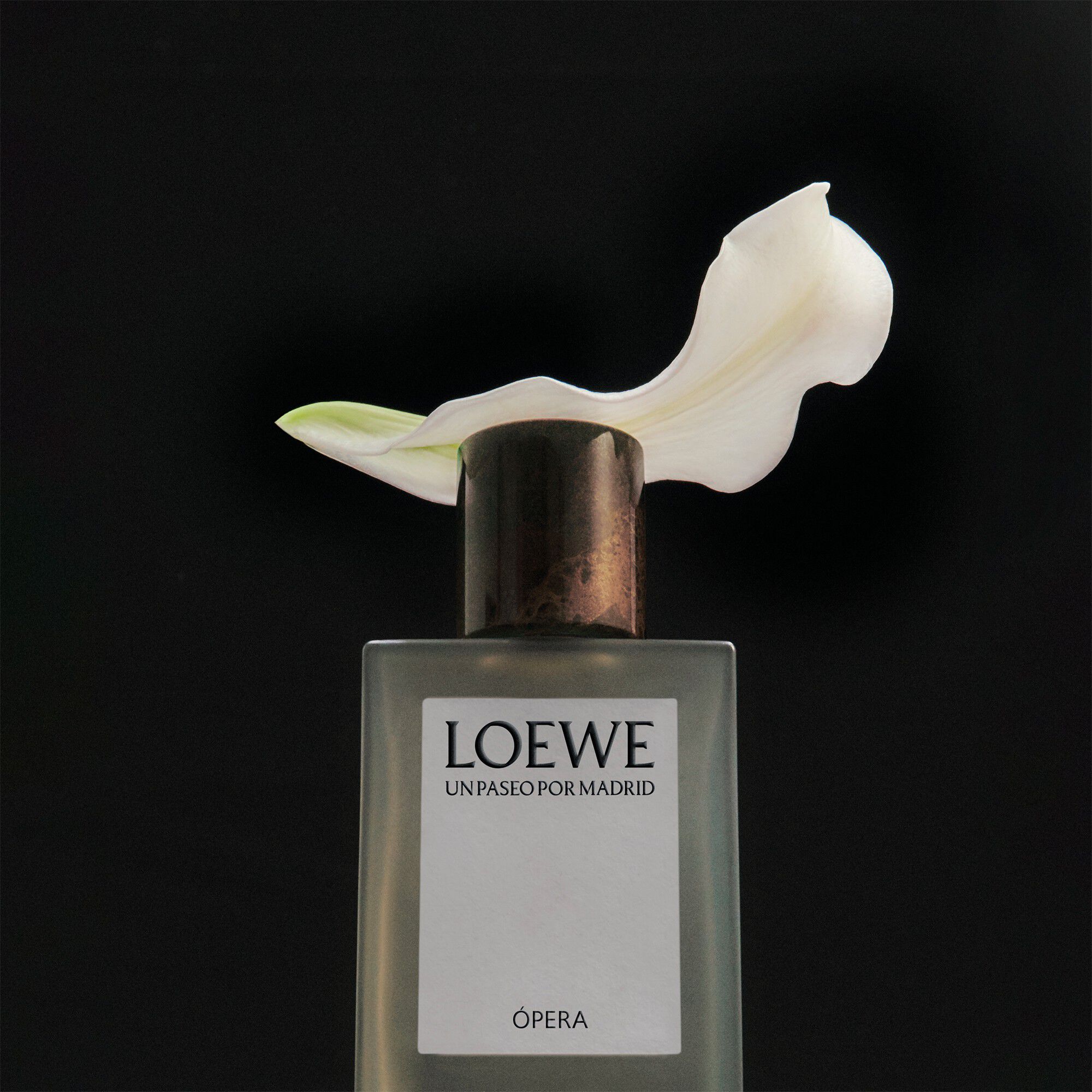 LOEWE Un Paseo por Madrid Opera Eau de Parfum 100 ml