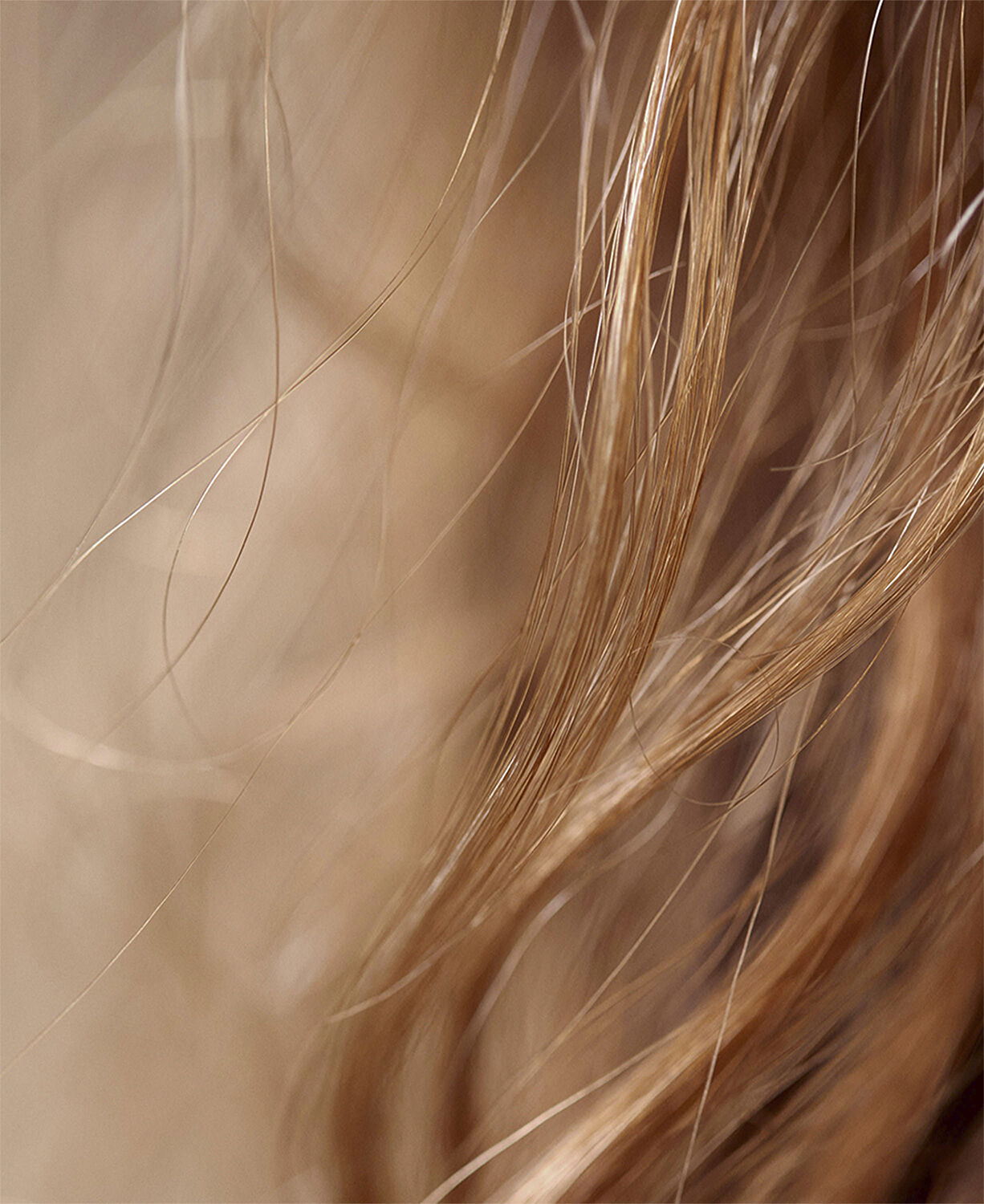 Hair Rituel by Sisley The Intense Nutrition Hair Care Mask