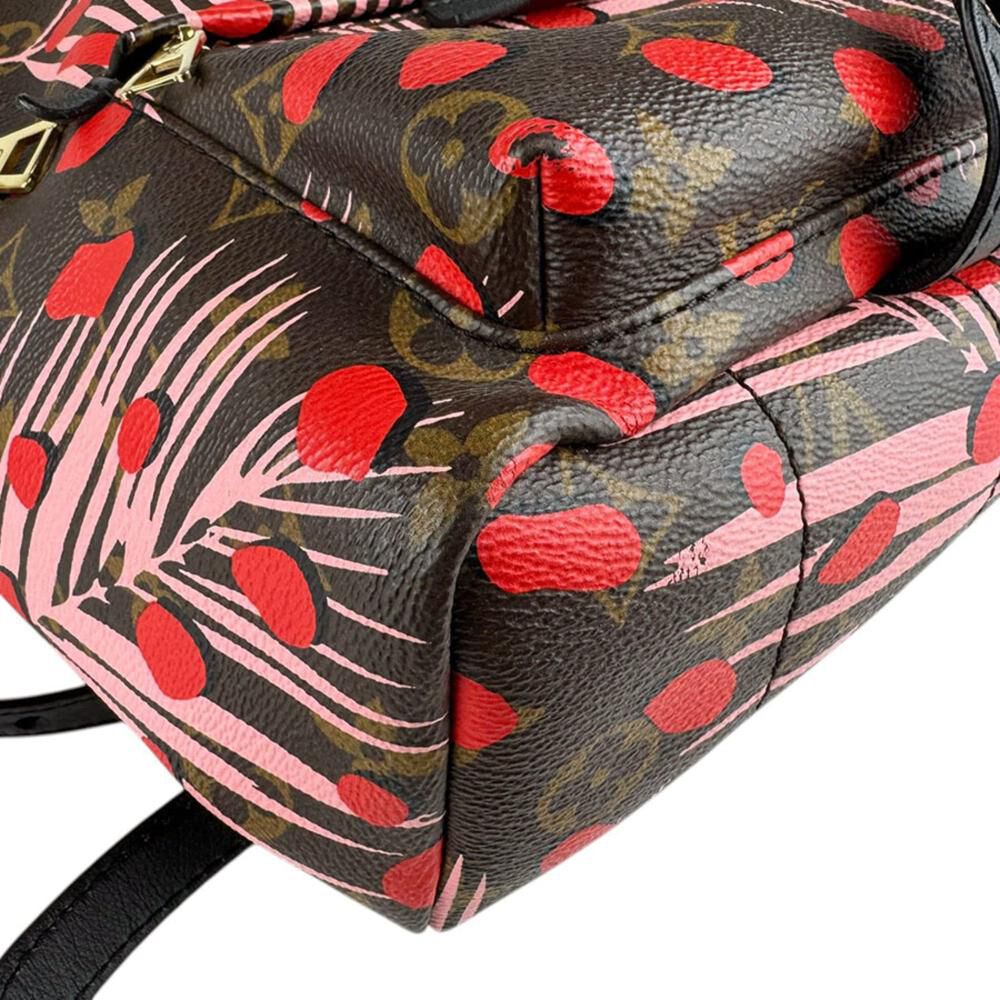 Louis Vuitton Palm Springs