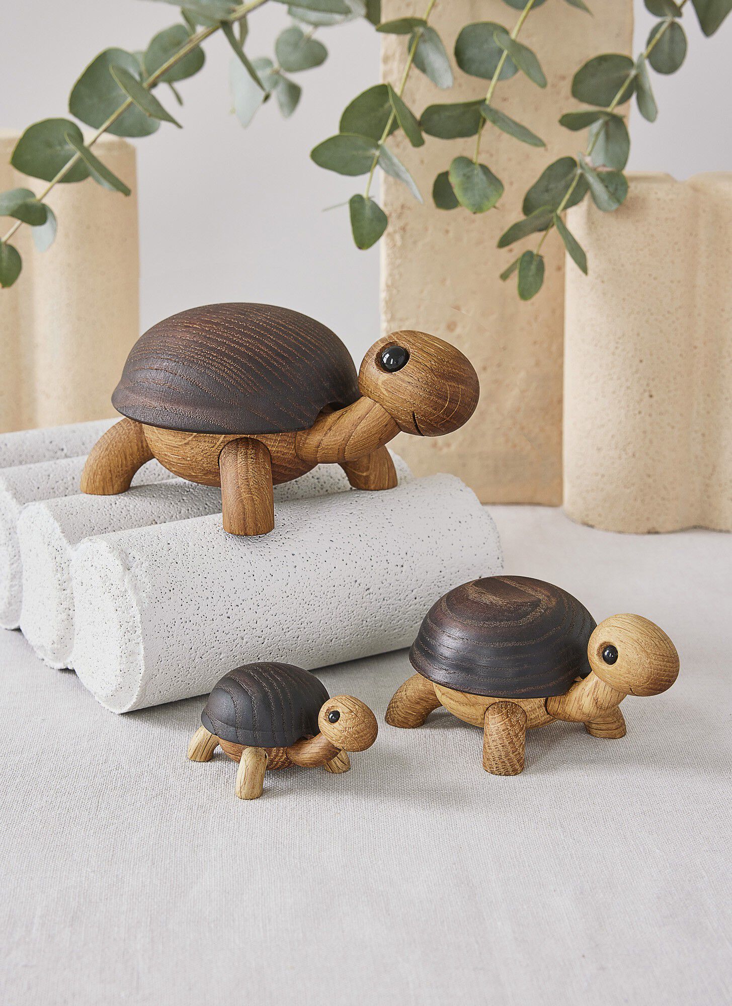 Sporty, Skildpaddeunge