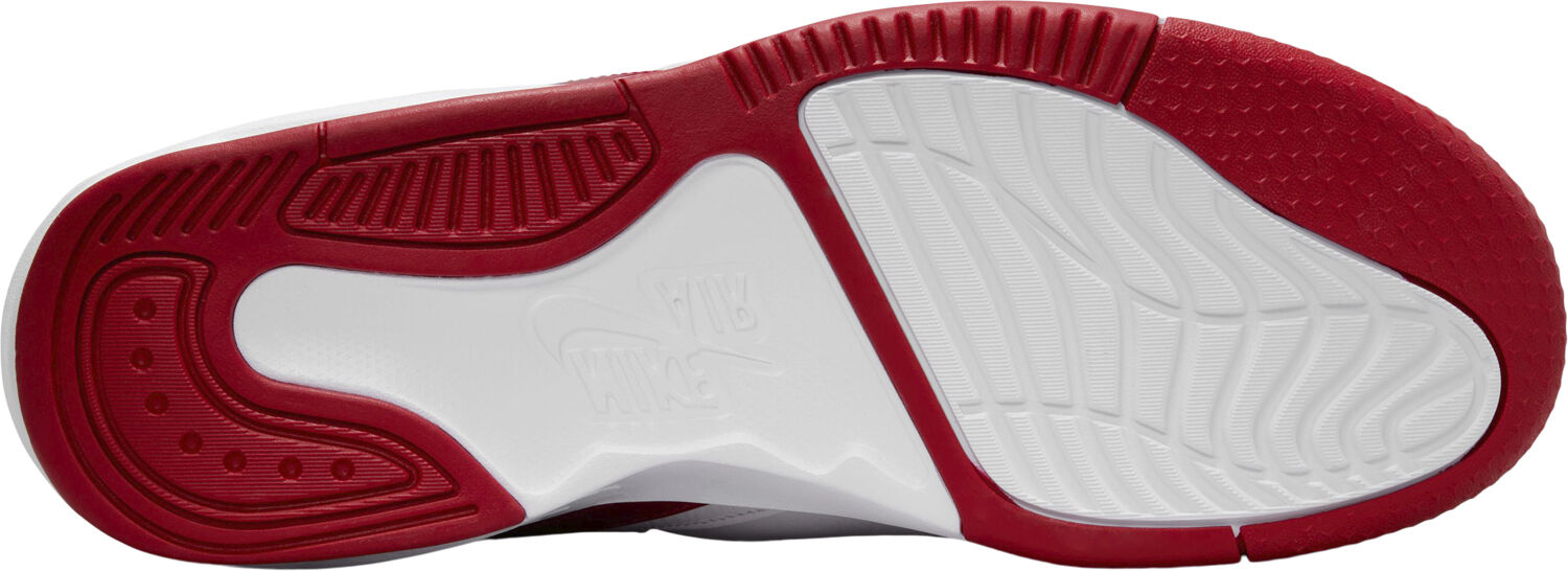 Jordan Max Aura 5 basketballsko