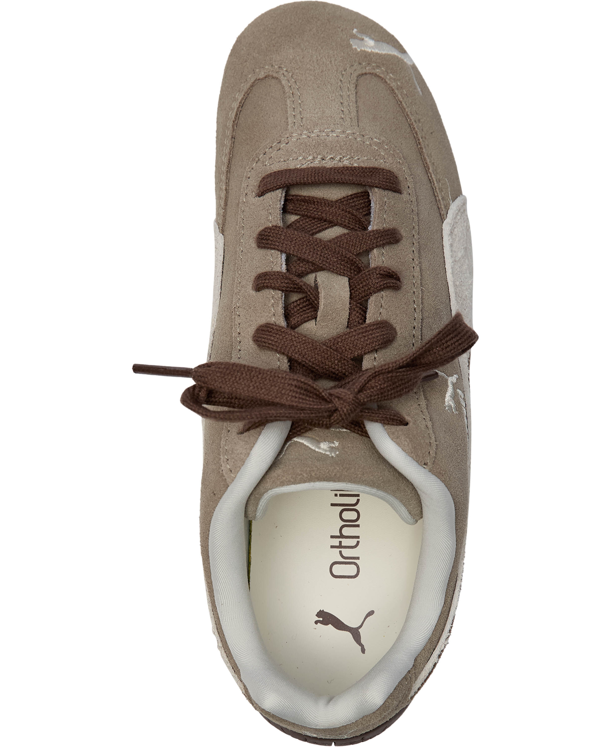 Speedcat Elevated Wns