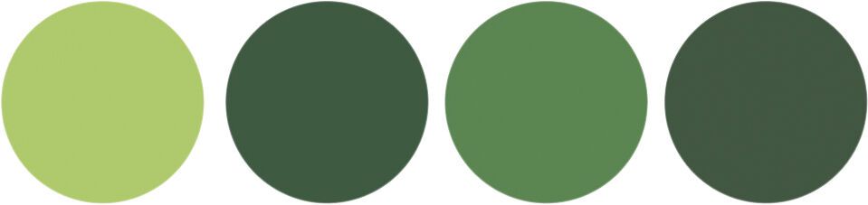 4-pack Basic Essentials Elastics