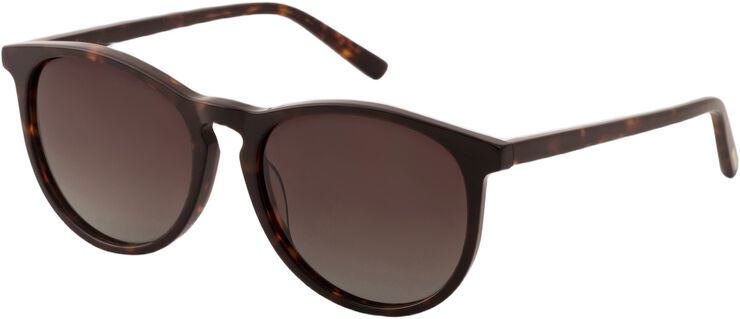 SAHARA sunglasses tortoise brown
