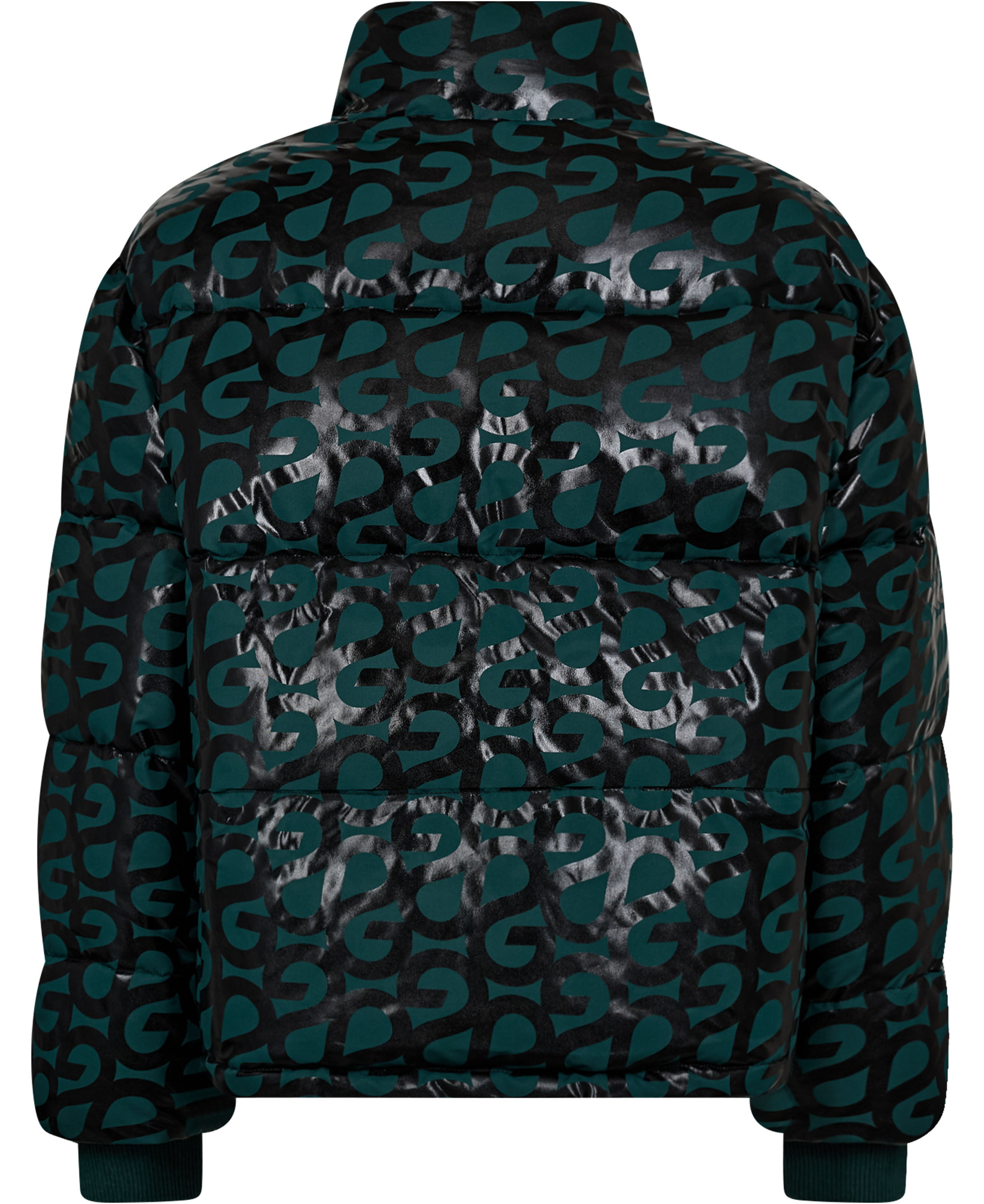 2424 Printed Tech, Long Sleeve Puffer