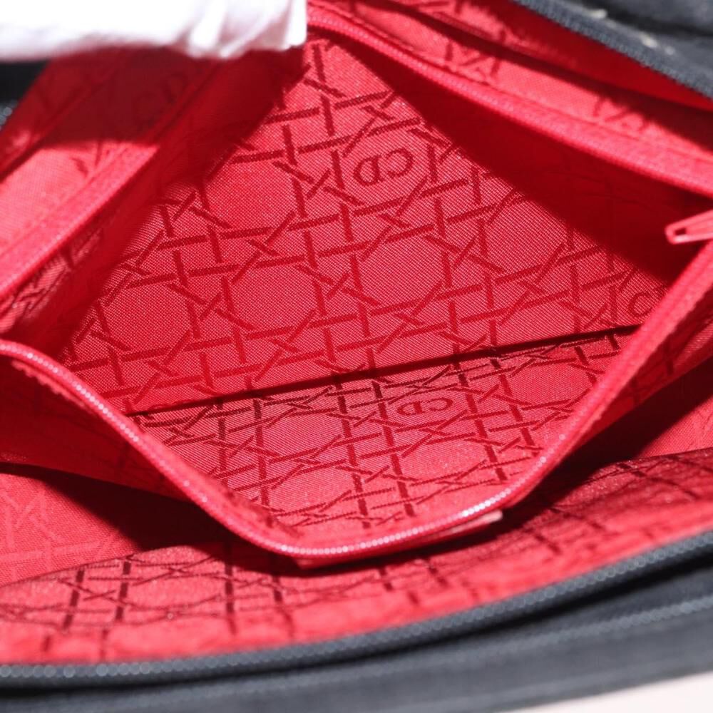 Dior Shoulder Bag