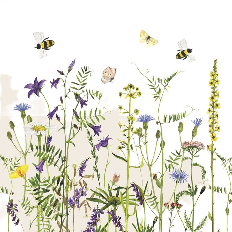 Serviet Summer Field