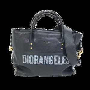 Dior Travel Bag