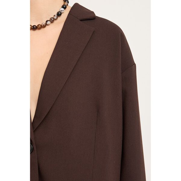 Allium blazer