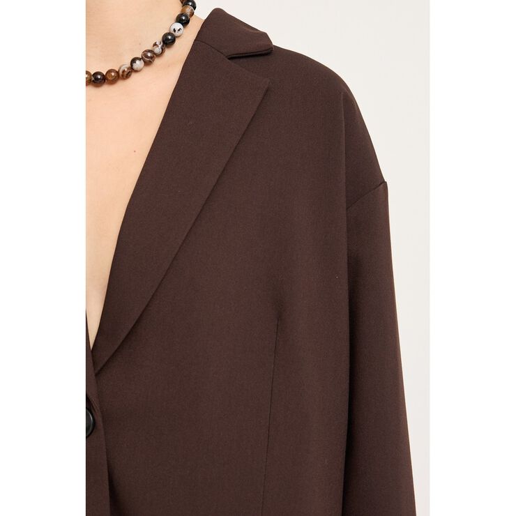 Allium blazer
