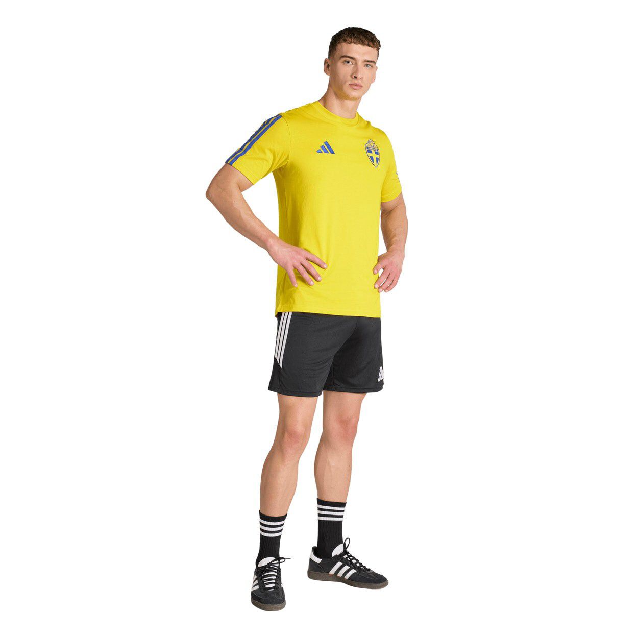 Sverige DNA T-shirt
