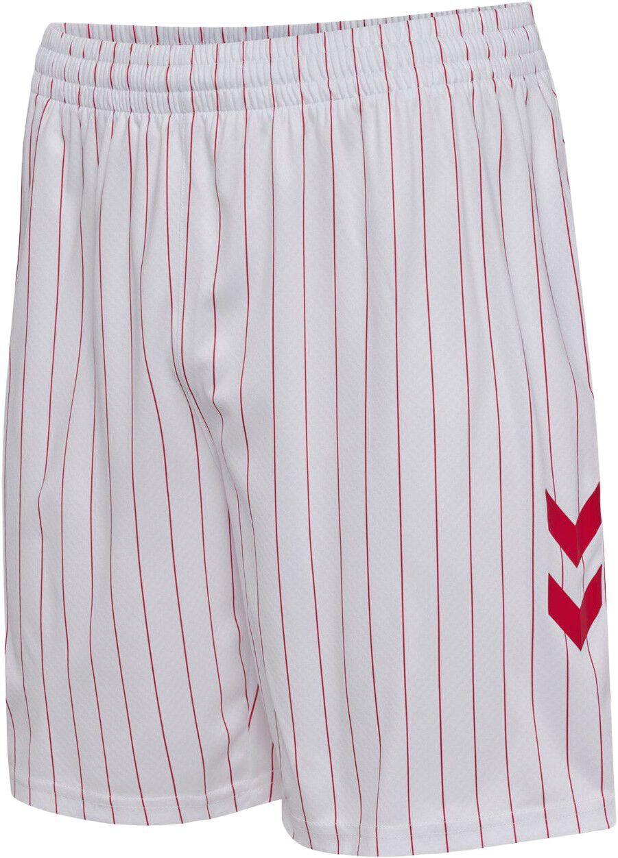 Danmark DBU 26/27 Voksen M&aring;lmandstr&oslash;je