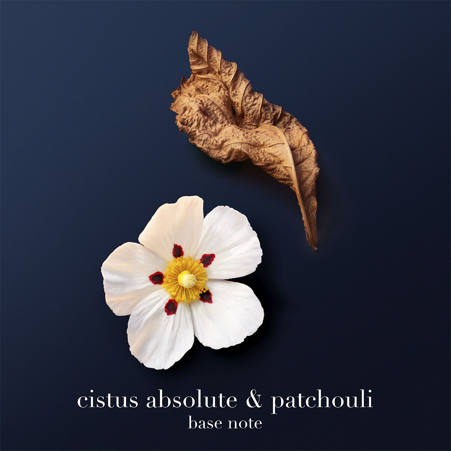 Armani Acqua di Gi&ograve; Profondo Parfum