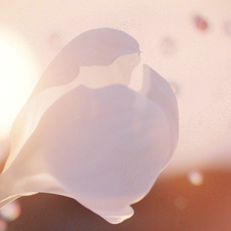 Idôle Now Eau de Parfum