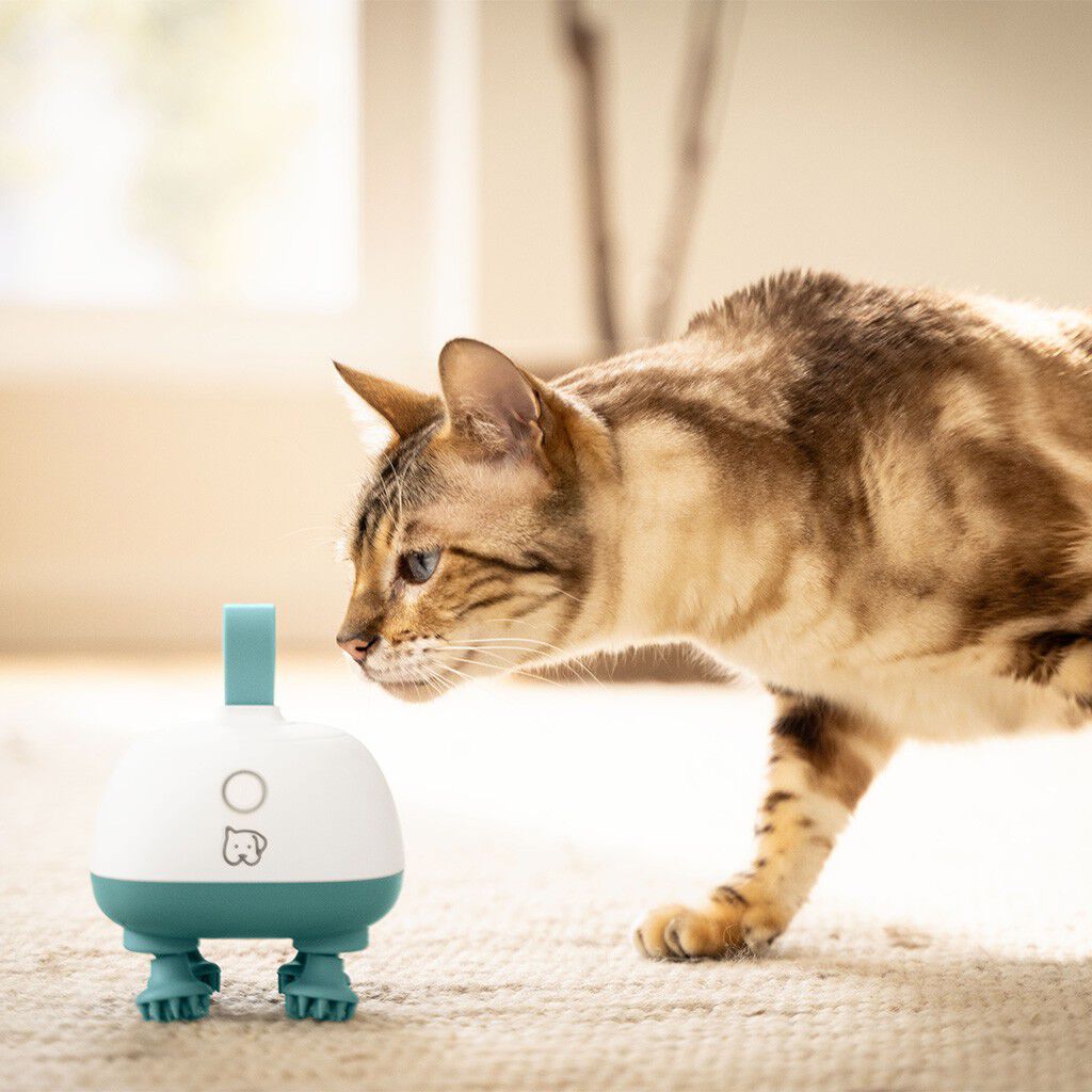 PetCare PP 410 Buddy Massageapparat til k&aelig;ledyr