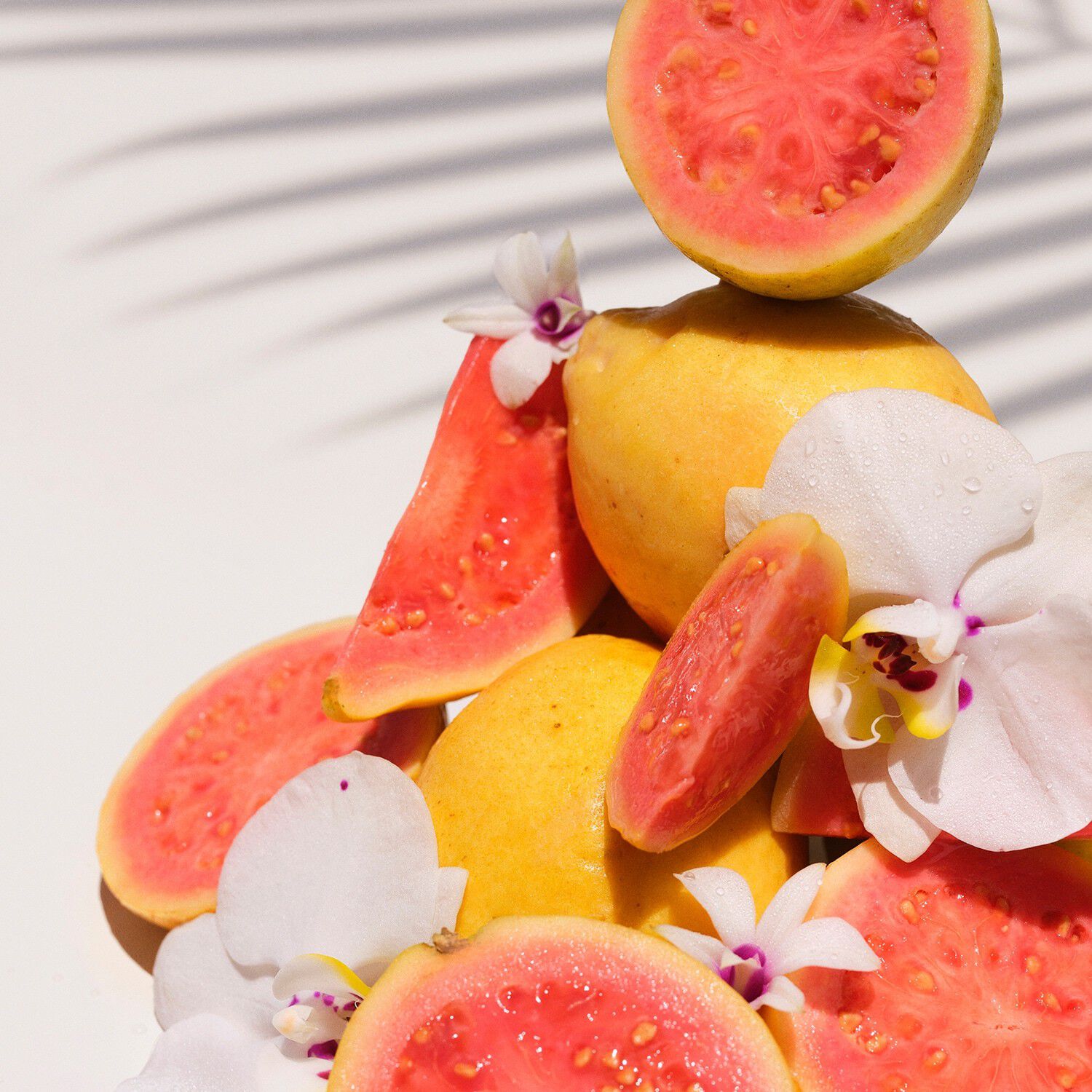 Cheirosa 48 Perfume Mist - Parfumeret mist til krop og h&aring;r