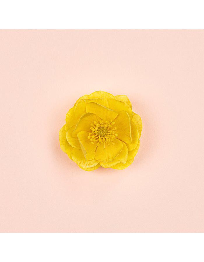 Bloom Ambrosia d'Oro Parfum