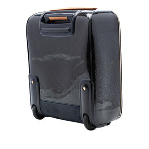 Louis Vuitton Travel Bag