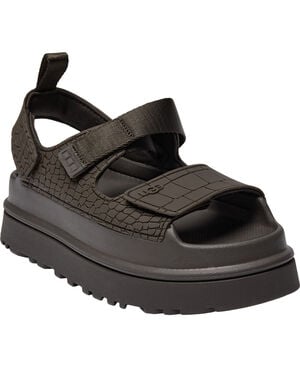 W GoldenGlow Embosse