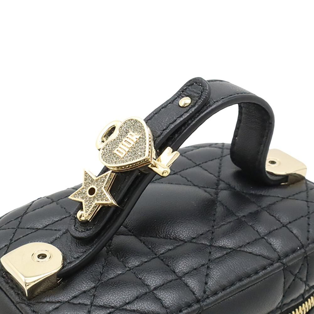 Dior Vanity Bag