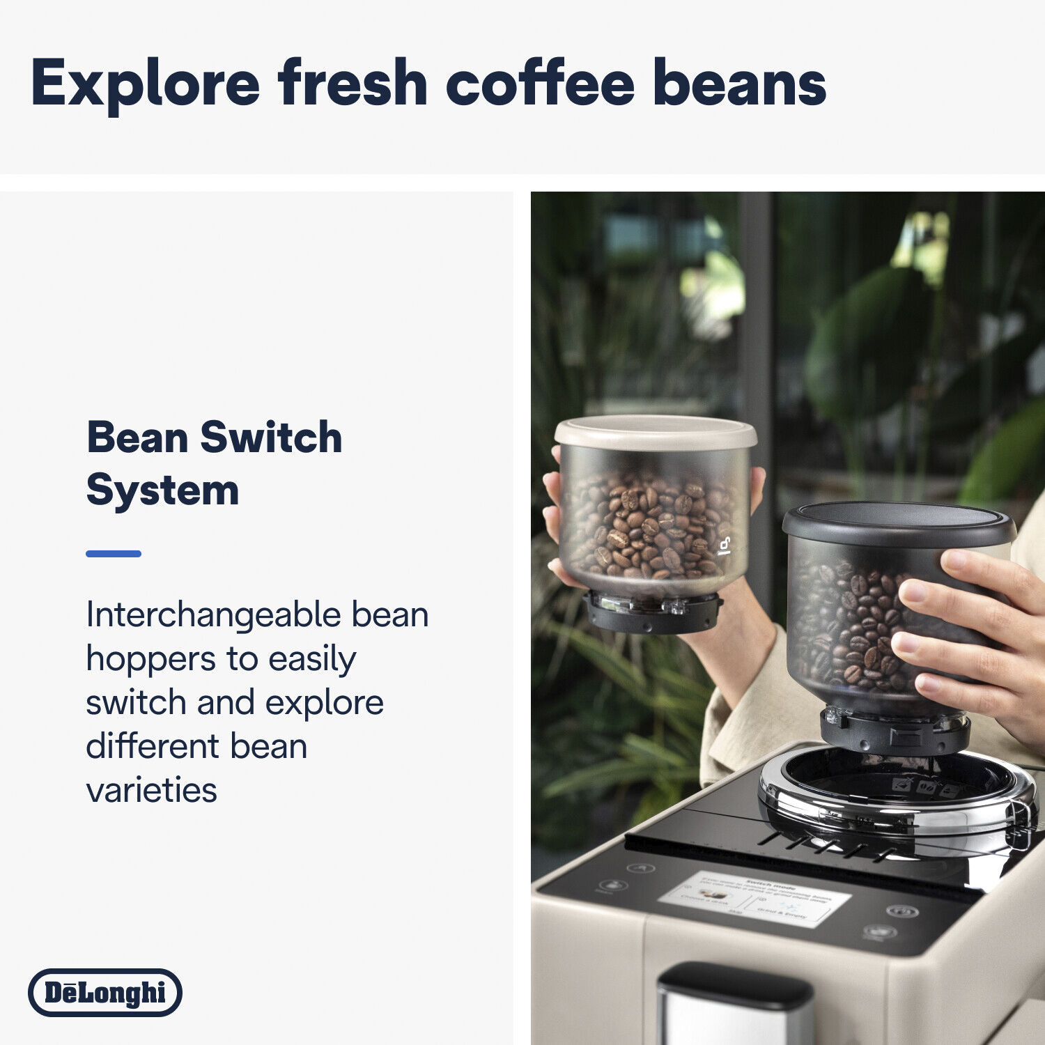 Rivelia EXAM440.55. BG