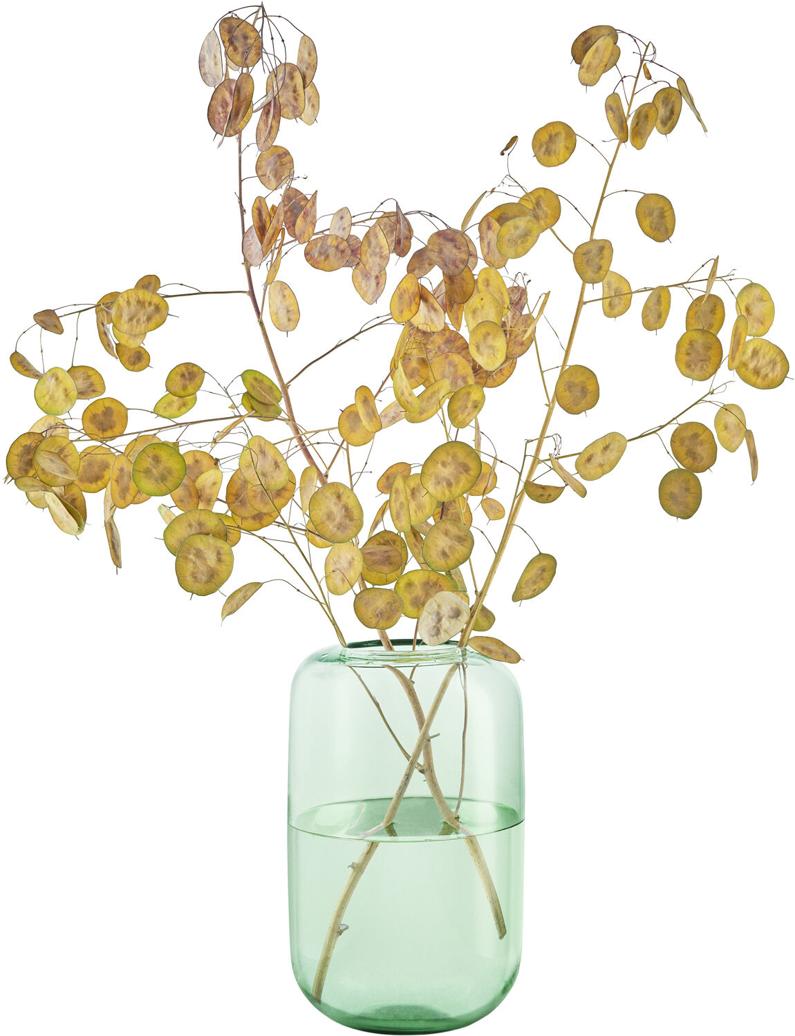 Acorn vase H22 Mint green