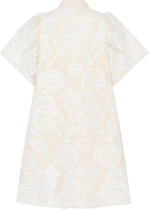 CalamusBBPhilly dress