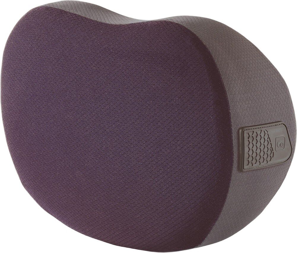 The Memory Dreamer Universal