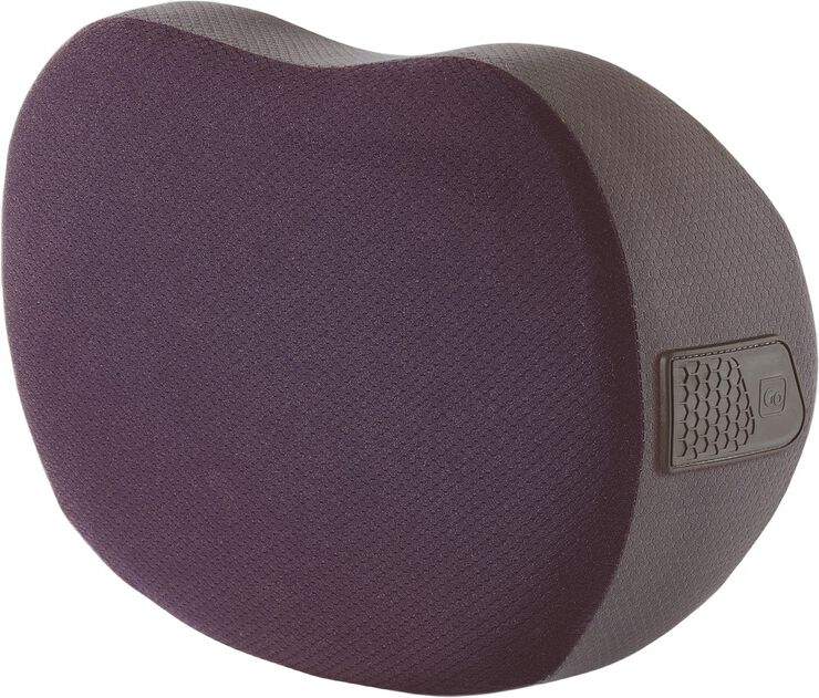 The Memory Dreamer Universal