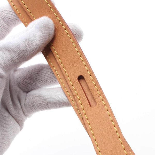 Louis Vuitton Crossbody Bag