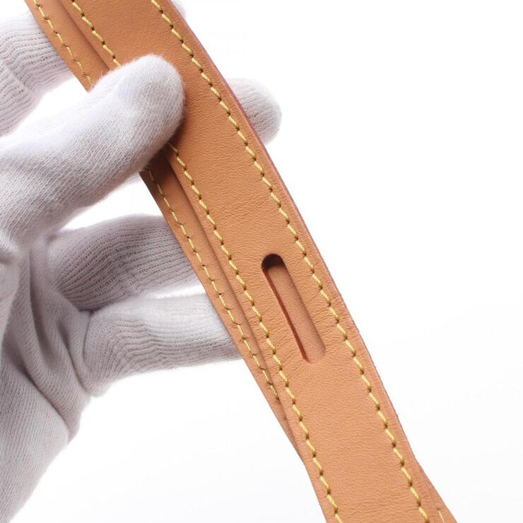 Louis Vuitton Crossbody Bag