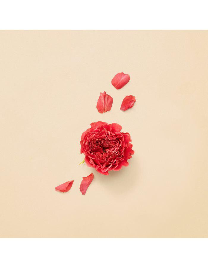 Guilty Pour Femme Absolute Eau De Parfum