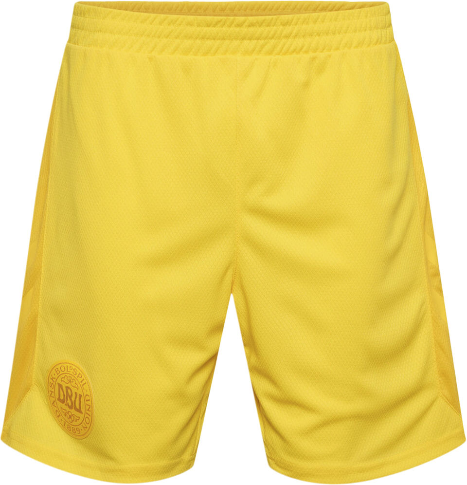 DBU Danmark m&aring;lmandsshorts 22