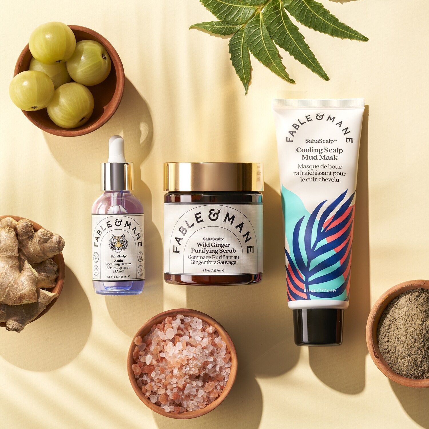 SAHASCALP SCALP RESET KIT