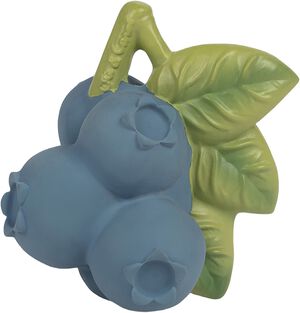 Oli & Carol - Bidering - Jerry the Blueberry