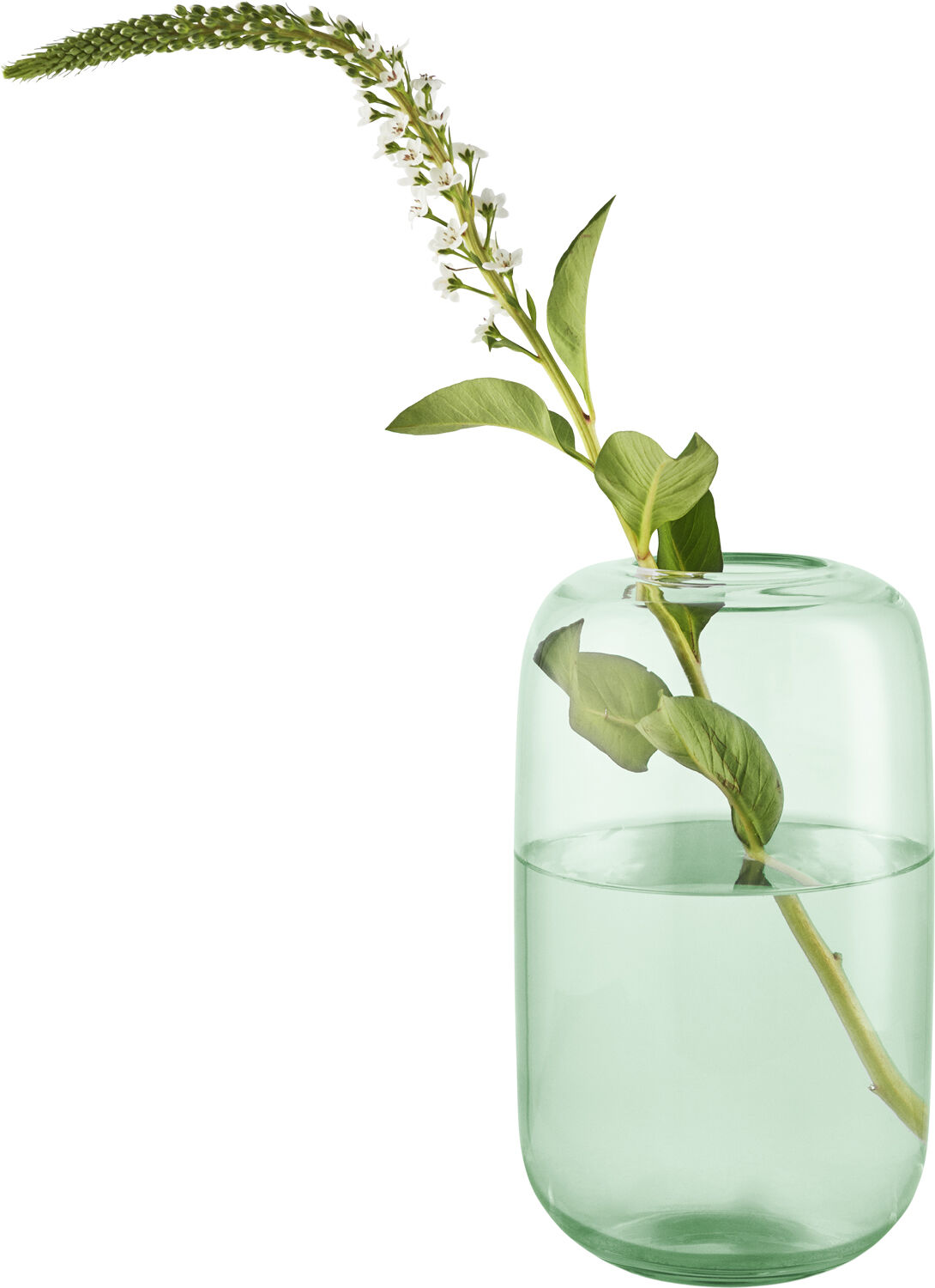 Acorn vase H22 Mint green