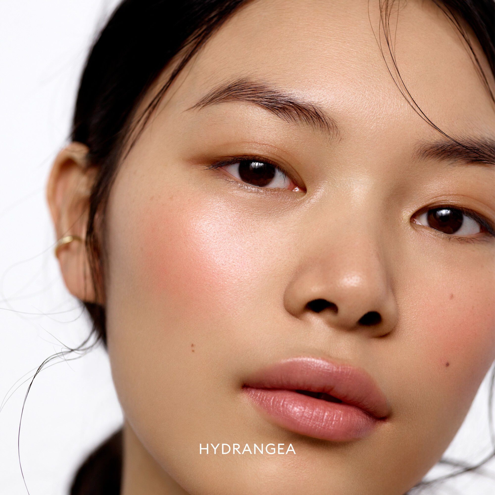 Blush Divine Radiant Lip & Cheek Color - Refill