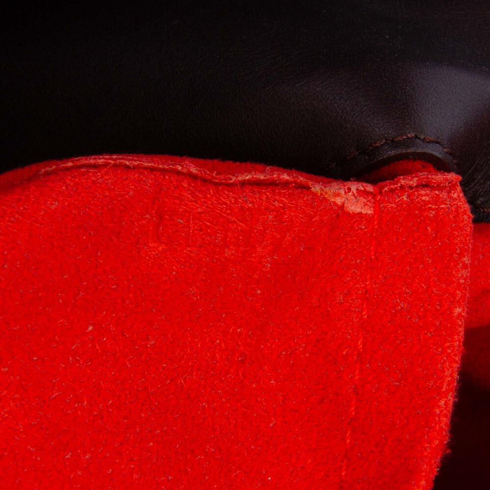 Louis Vuitton Sauvage Lionne