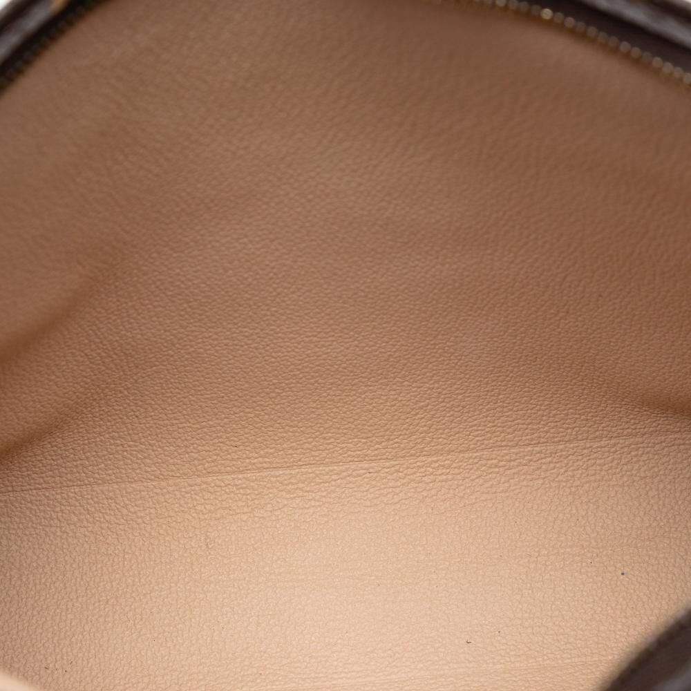 Louis Vuitton Pouch
