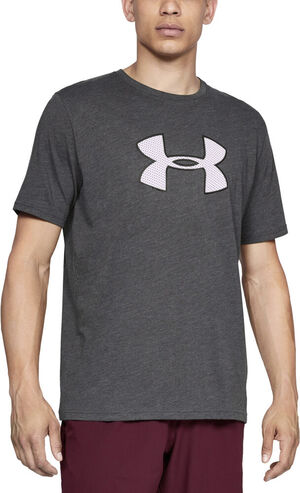 Big Logo Traenings T Shirt