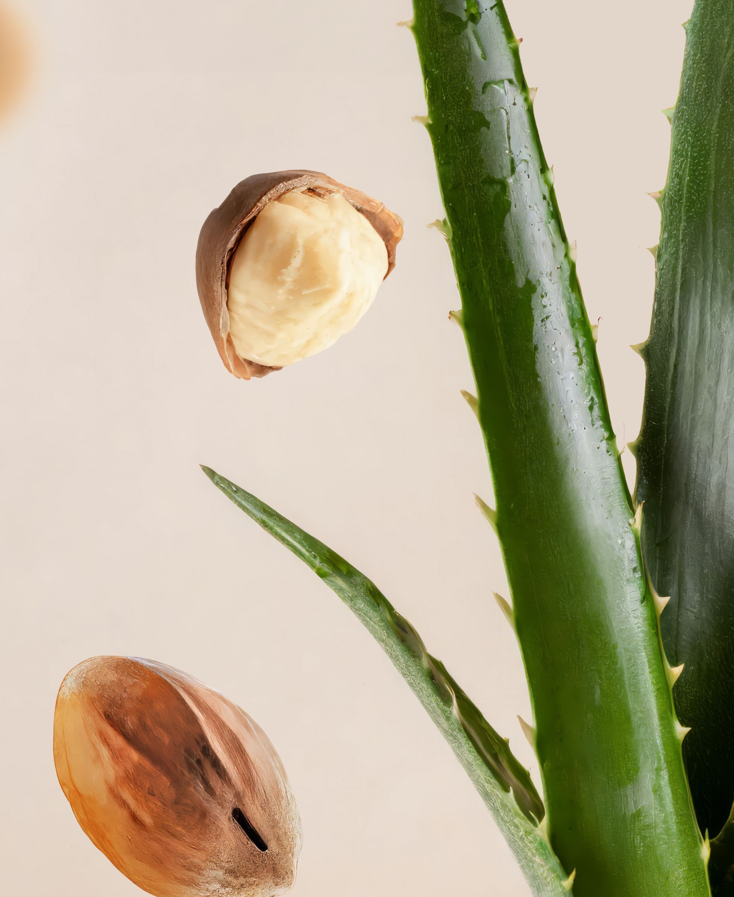 Fortune Balms - Pink