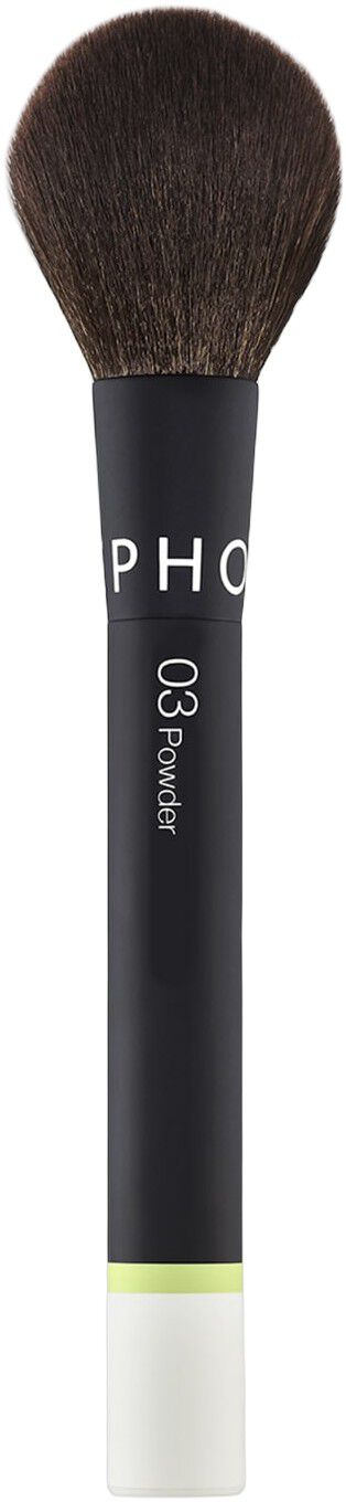 LE PINCEAU POUDRE-24 03