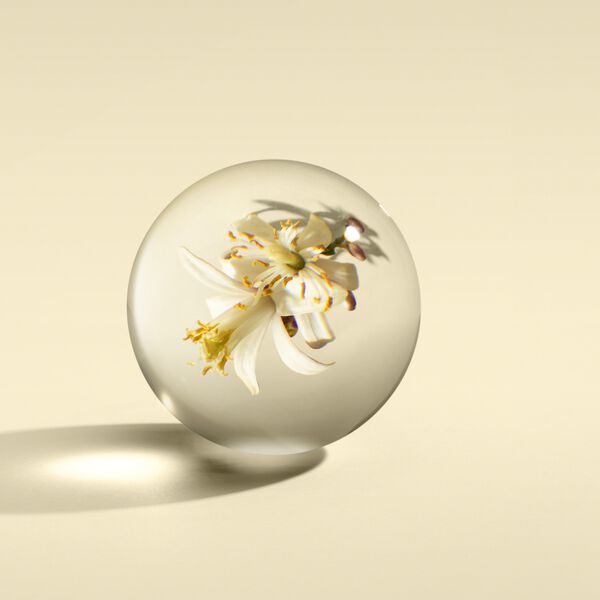 ORANGE & BERGAMOT HAND WASH (GLASS BOTTLE)