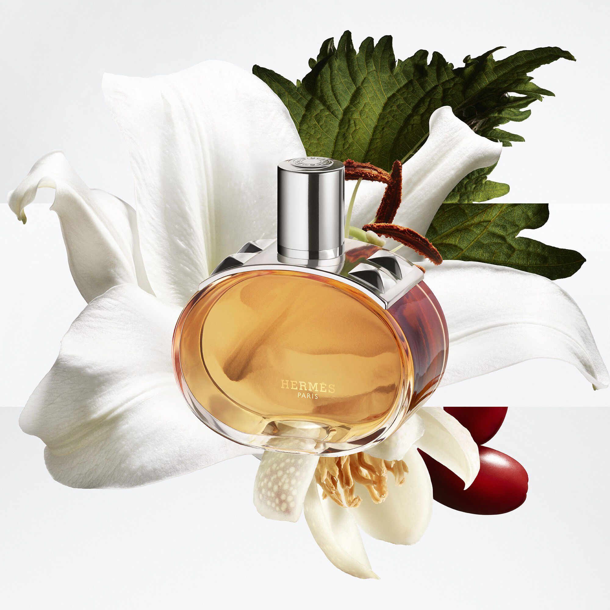 BAR&Eacute;NIA PLEINE FLEUR EAU DE PARFUM 60ML