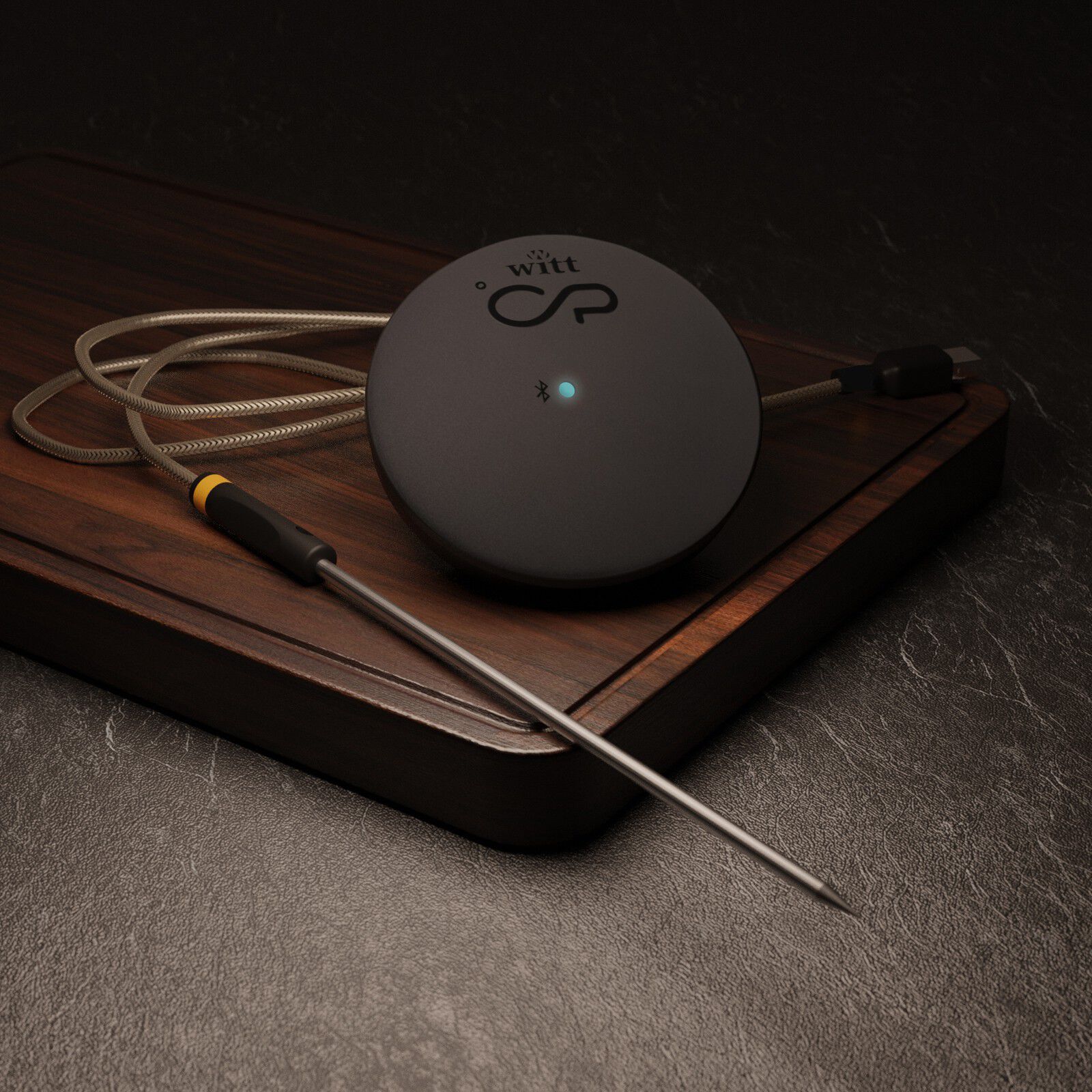 Witt CookPerfect Comfort Single Frying thermometer Black