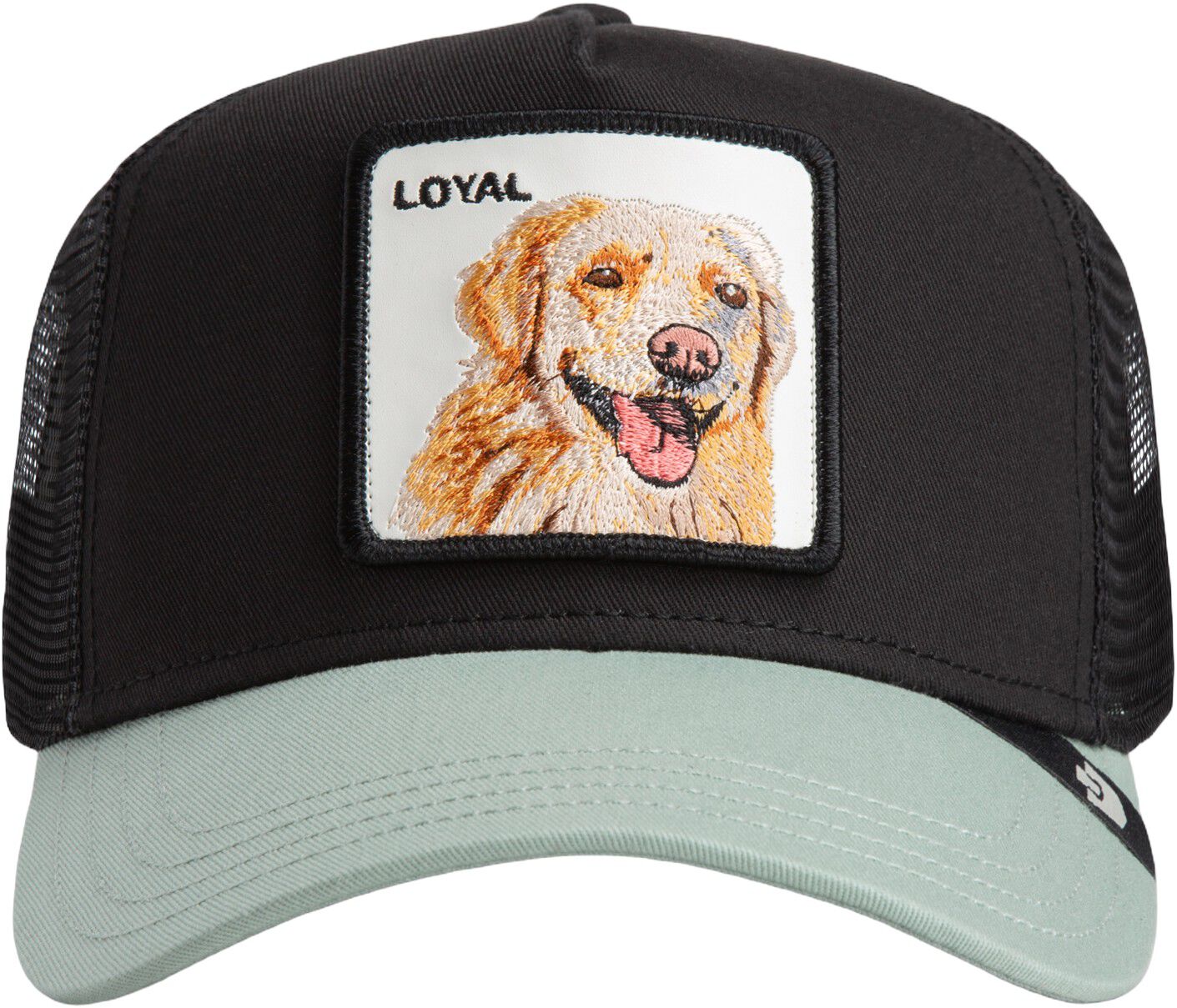 The Loyal dog