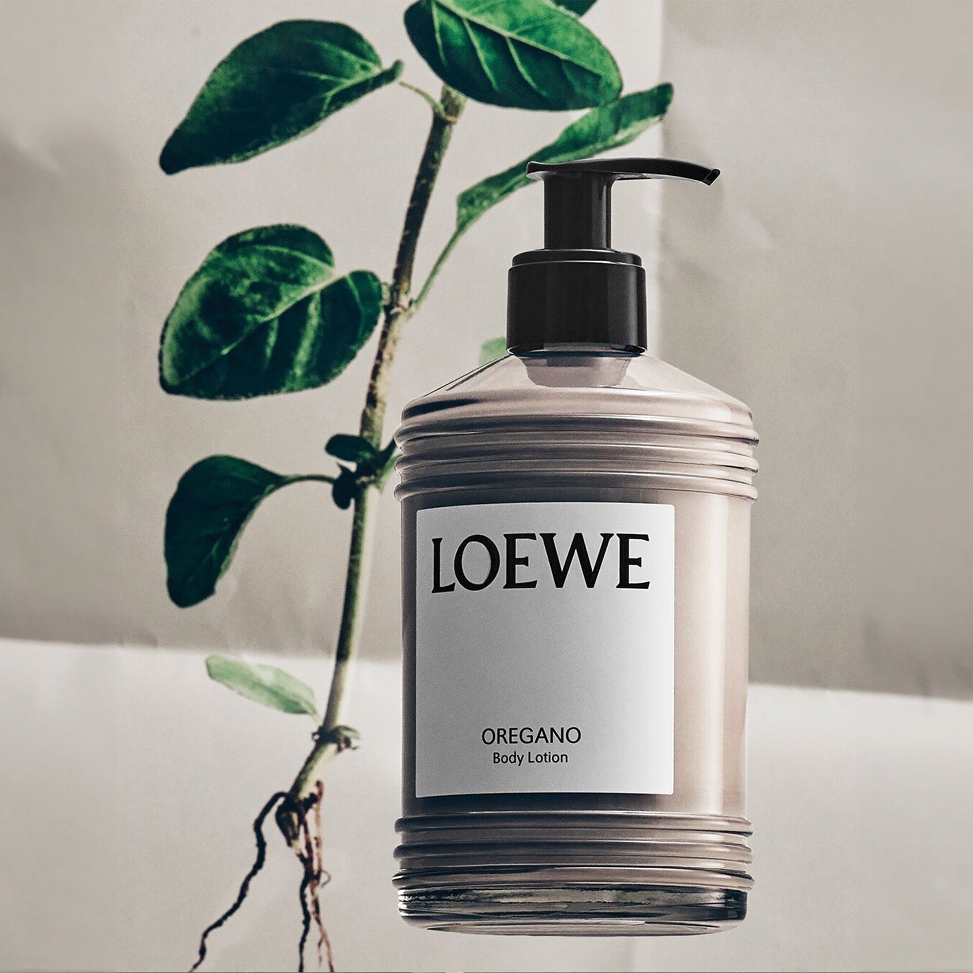 LOEWE Oregano Body Lotion