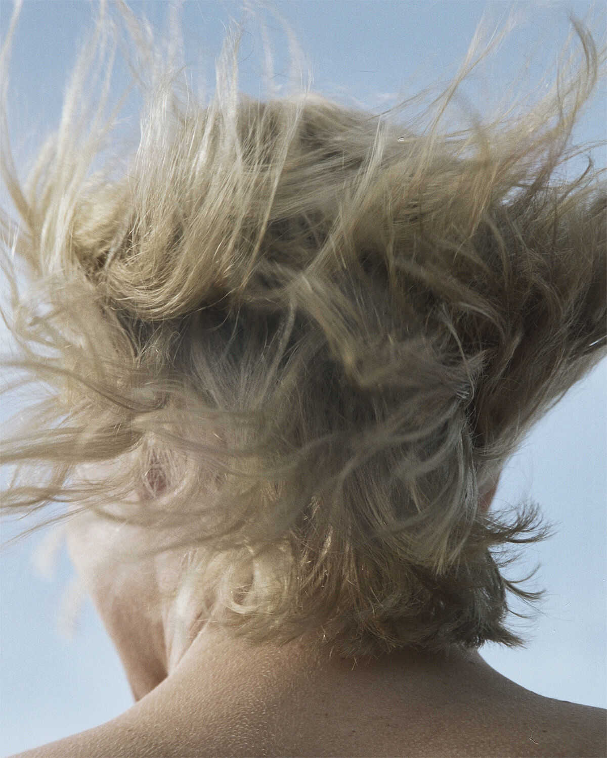 234 Hrmask Bjrk 350 gr